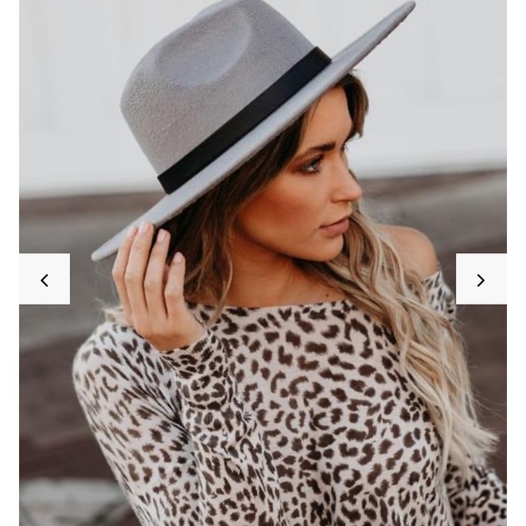 Vici Accessories - VICI Gray hat